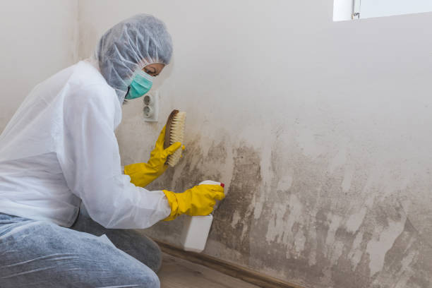 Best Industrial Mold Remediation in Garrison, TX