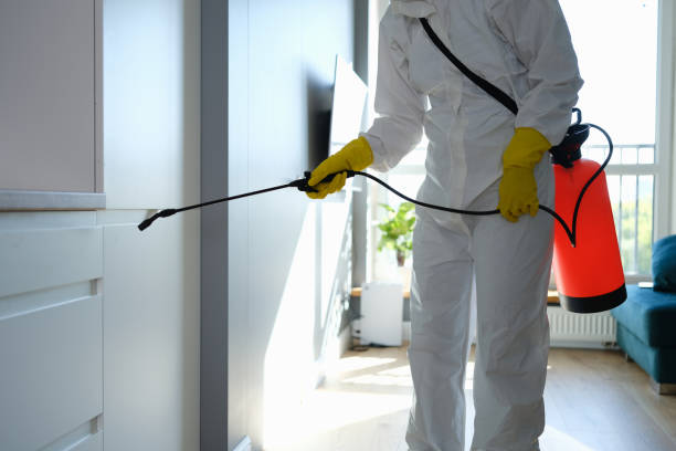 Best Preventive Mold Services in Garrison, TX
