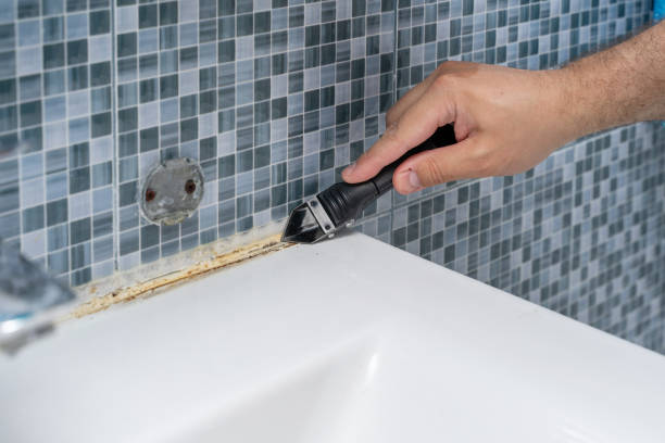 Best Localized Mold Remediation (e.g., coastal areas, humid climates) in Garrison, TX