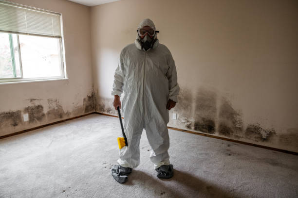 Best Basement Mold Remediation in Garrison, TX